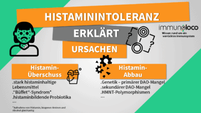 Ursachen Der Histaminintoleranz / Histaminunverträglichkeit Im Detail ...